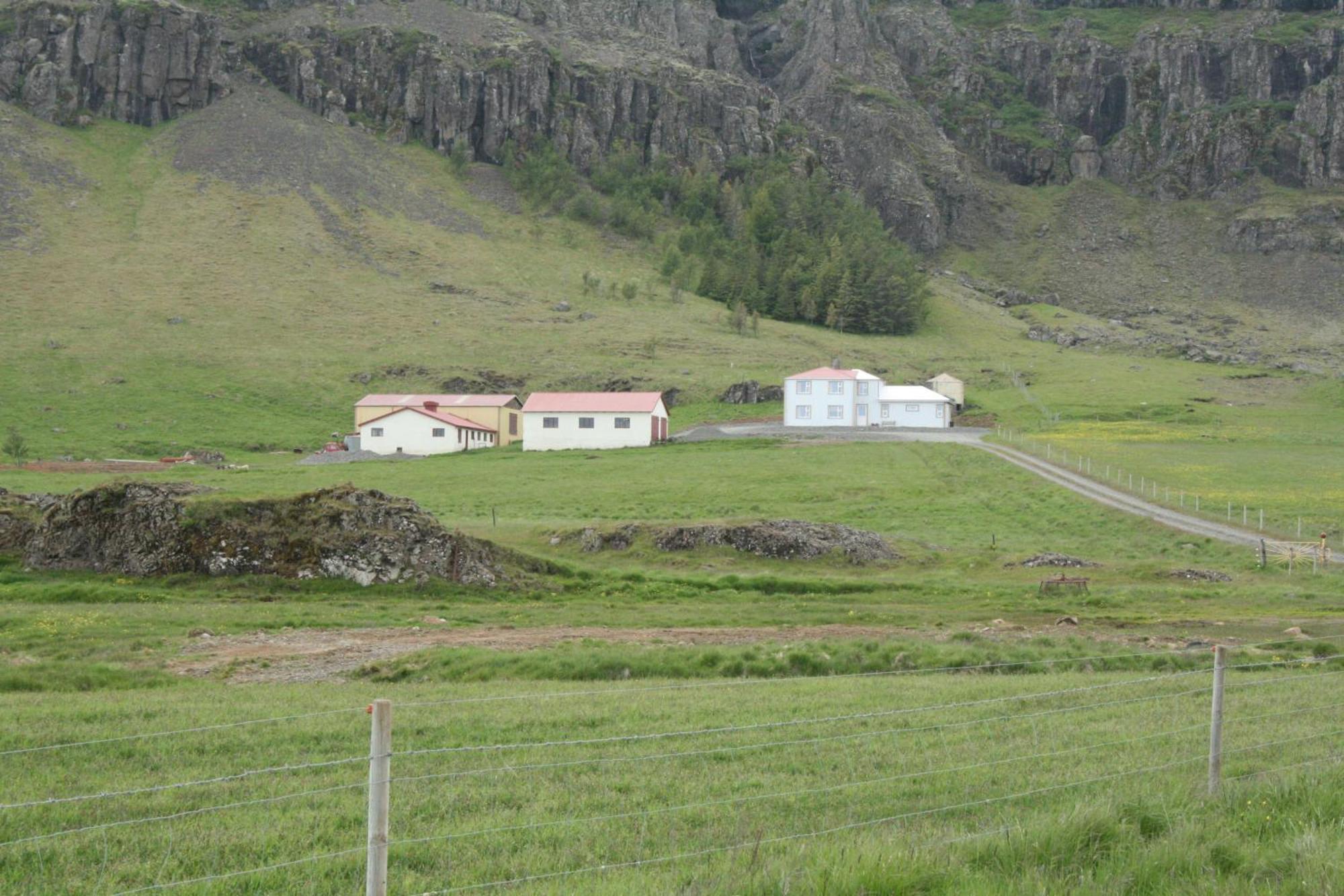 Guesthouse Stekkatun Skálafell Exterior foto